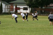 OTFL Gallery Image